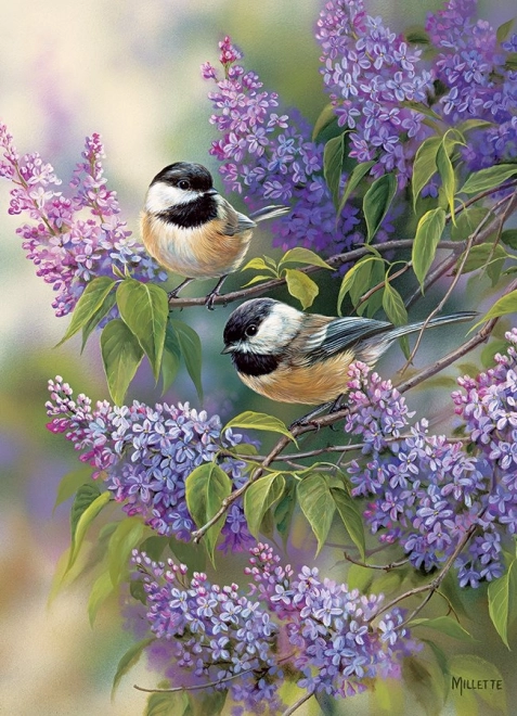 Puzzle Sýkorky pe liliac 1000 piese