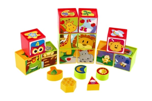 Cubes puzzle plastic 12 pcs în cutie 30x23x7cm 12m+