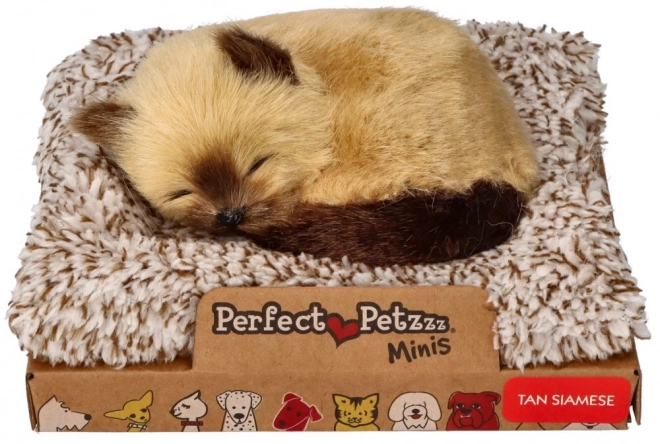 Pisicuță Siameză Perfect Petzzz