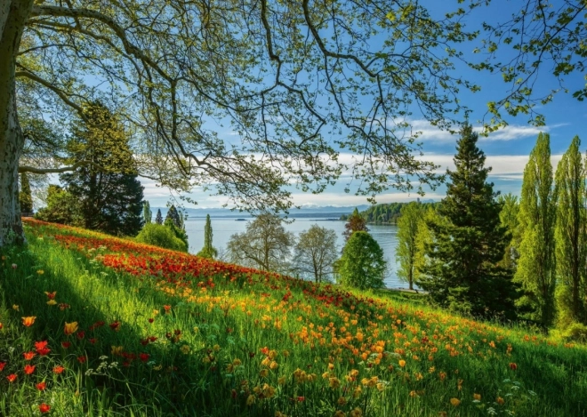 Puzzle Schmidt Tulipani înfloriți pe insula Mainau 1000 piese