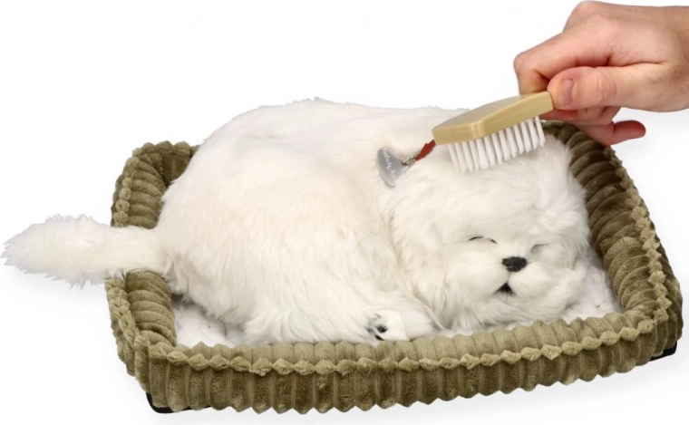 Îngrijire și alint ca un cățel adevărat