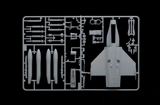 Model de plastic Rafale M operațiuni exterioare