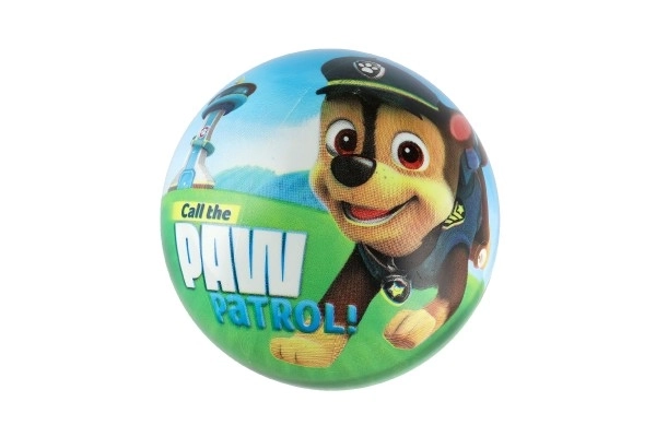 Minge Paw Patrol umflată 23cm în plasă