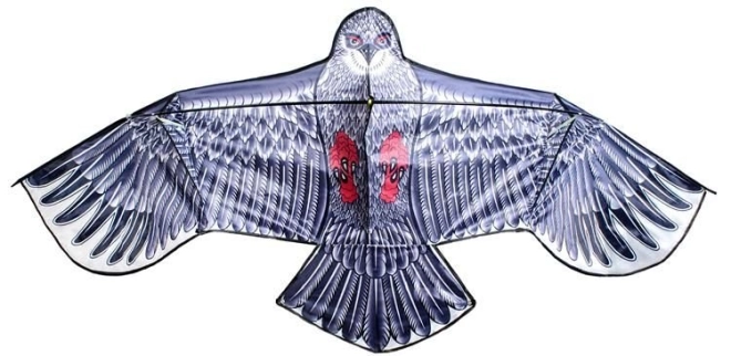 Aspect Realist