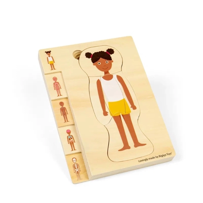 Puzzle din lemn Anatomia fetei