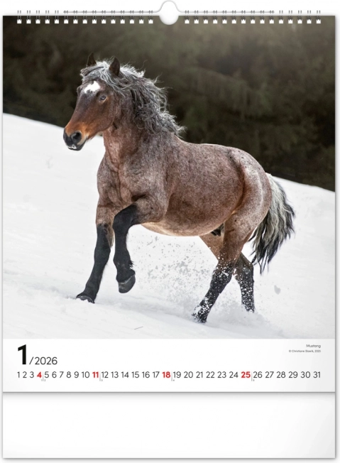 Calendar de perete Cai 2026