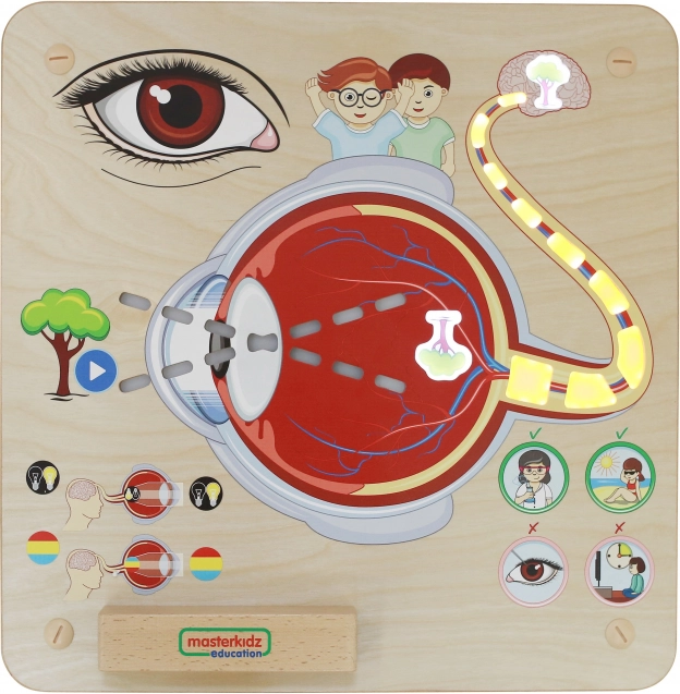 Tablă Educațională Masterkidz Vedere Montessori