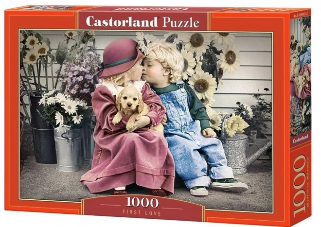 Puzzle prima dragoste 1000 piese