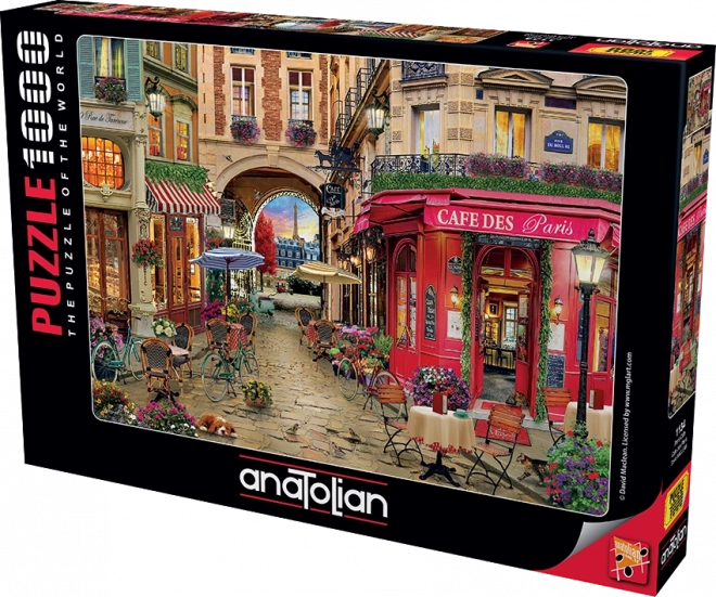 Puzzle cafeneaua din Paris 1000 piese