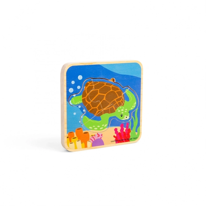 Puzzle Ciclu de viață al țestoasei Bigjigs Toys