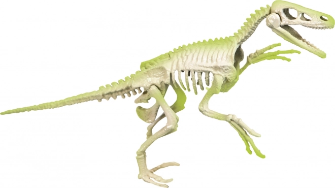 Clementoni Science & Play: ArcheoFun Velociraptor