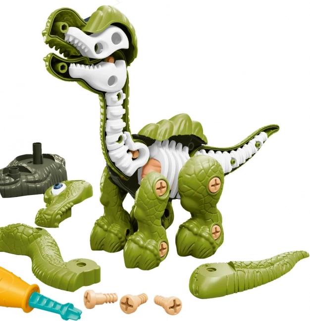 Dinosaurus cu schelet șurub verde
