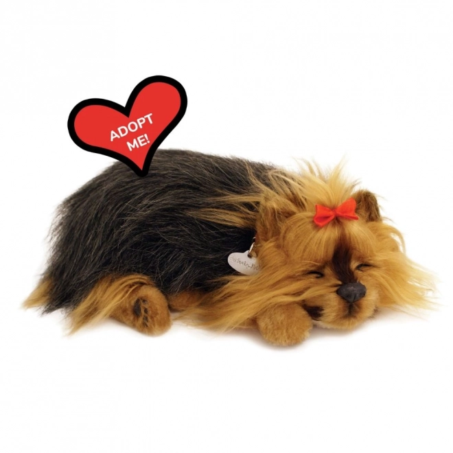 Cățeluș animat Yorkies de la Perfect Petzzz