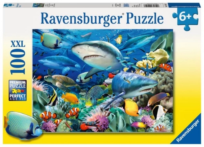 Puzzle cu rechin, 100 piese