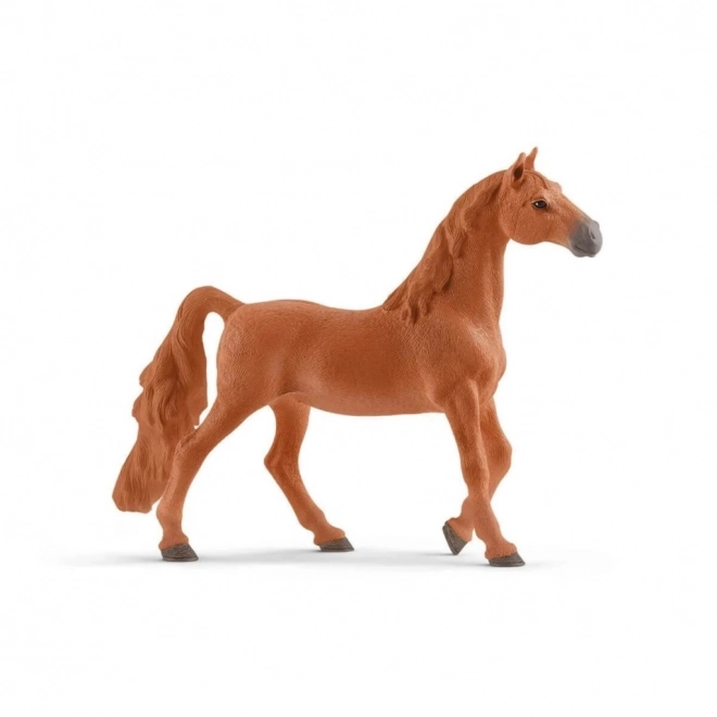 Cal de echitație American Saddlebred