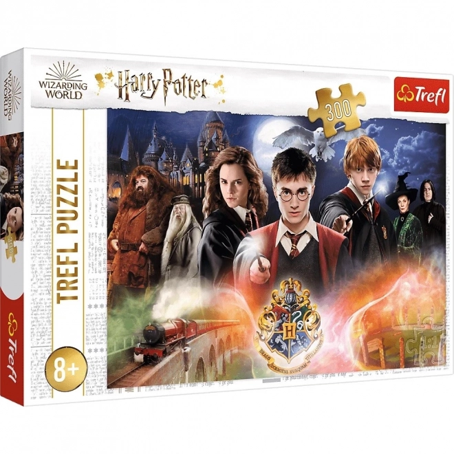 Puzzle 300 piese Harry Potter Misterios