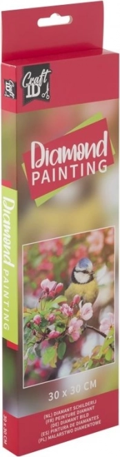Pictură cu diamante măcăleandru pe ramură 30x30cm