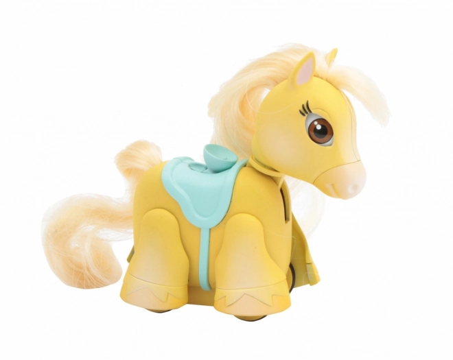 Poneii Pet Parade