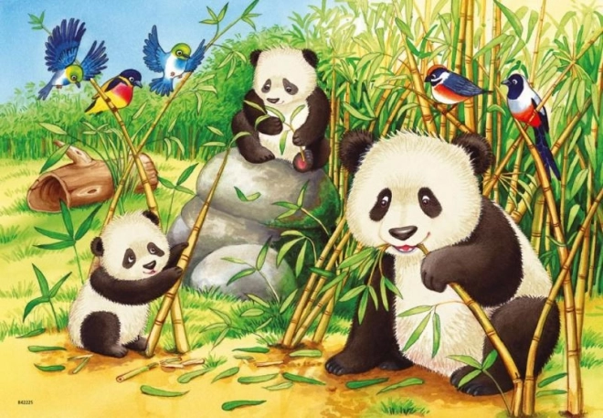 puzzle koale și panda de 2x24 piese