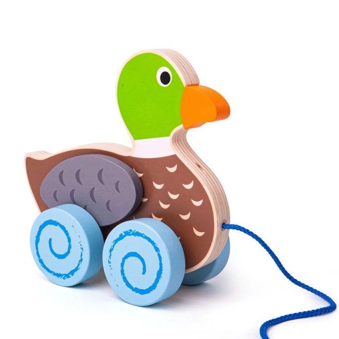 Mișcare legănată și aripi mobile