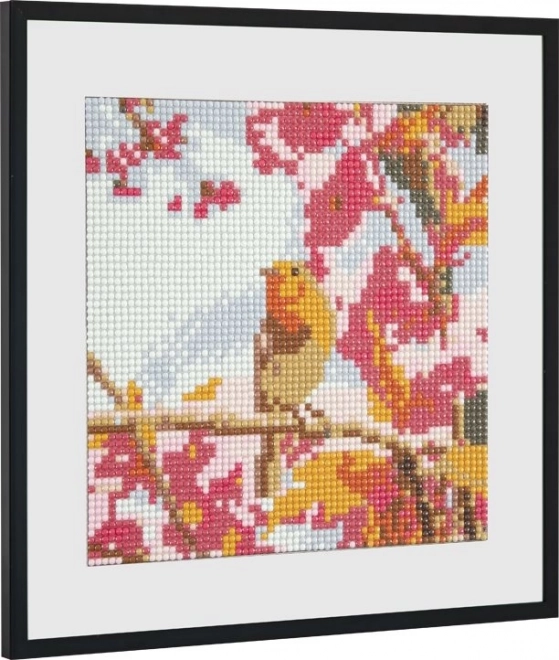 Pictură cu diamante păsărică 20x20cm