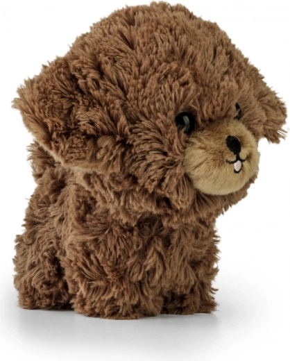 Detalii drăguțe pentru o expresie vie