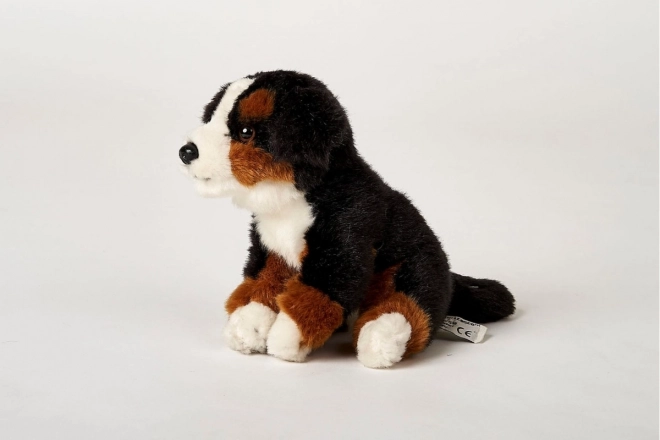 jucărie pluş câine Bernese de 16 cm