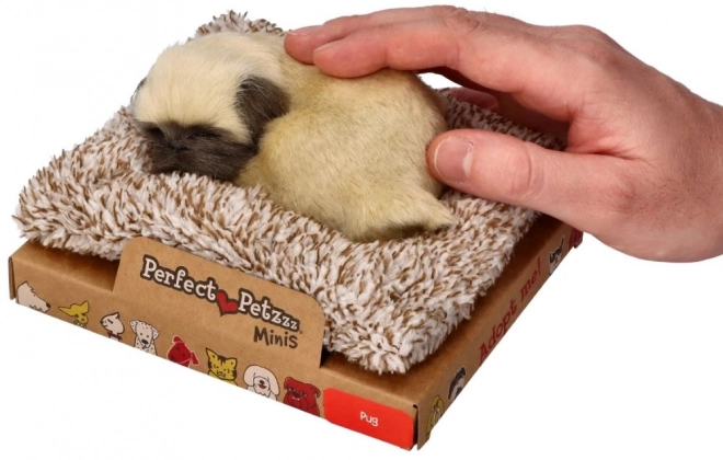 Cățelușul adorabil Mops Perfect Petzzz