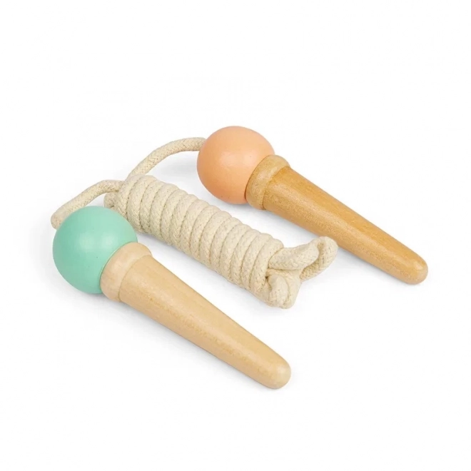 Șarpele săritor Bigjigs Toys înghețată