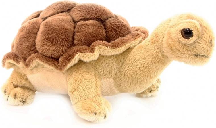 Aspect realist cu carapace detaliată