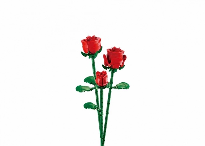 Floare roșie Sluban în vază