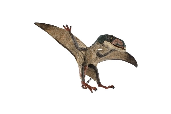 Pterosaur zburător de jucărie 15 cm