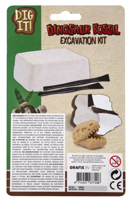 Kit descoperire fosile