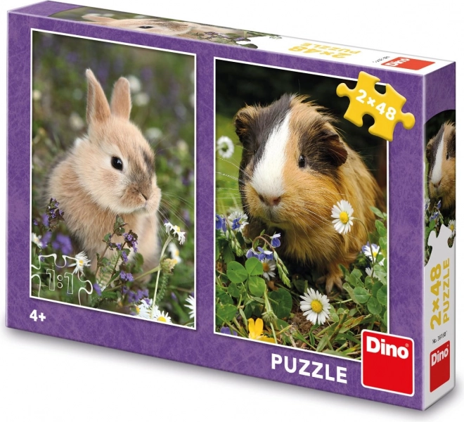 Puzzle Dino iepuraș și cobai 2x48 piese