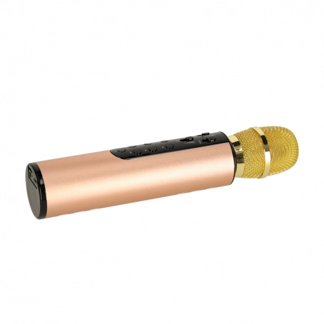 Microfon wireless de karaoke Bluetooth negru – Auriu