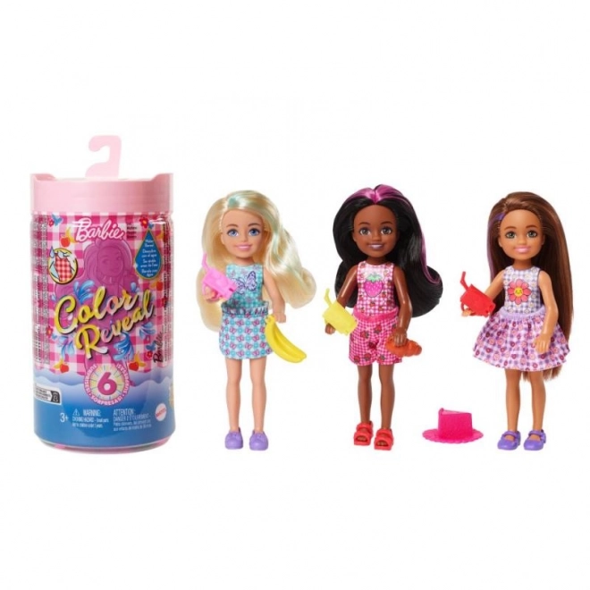 Barbie color reveal Chelsea picnic