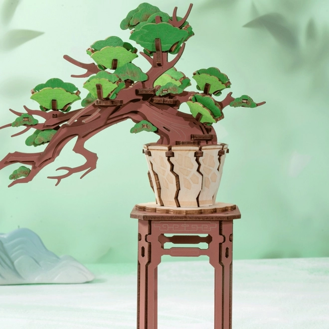 Puzzle 3D din lemn bonsai pin