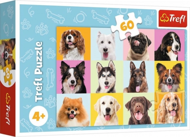 Puzzle câini adorabili 60 de piese