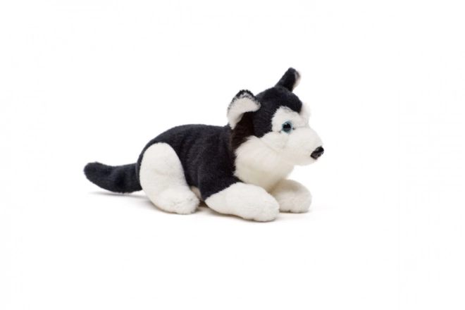 jucărie husky de pluș 15 cm