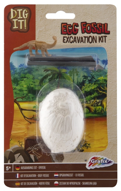 Kit descoperire fosile