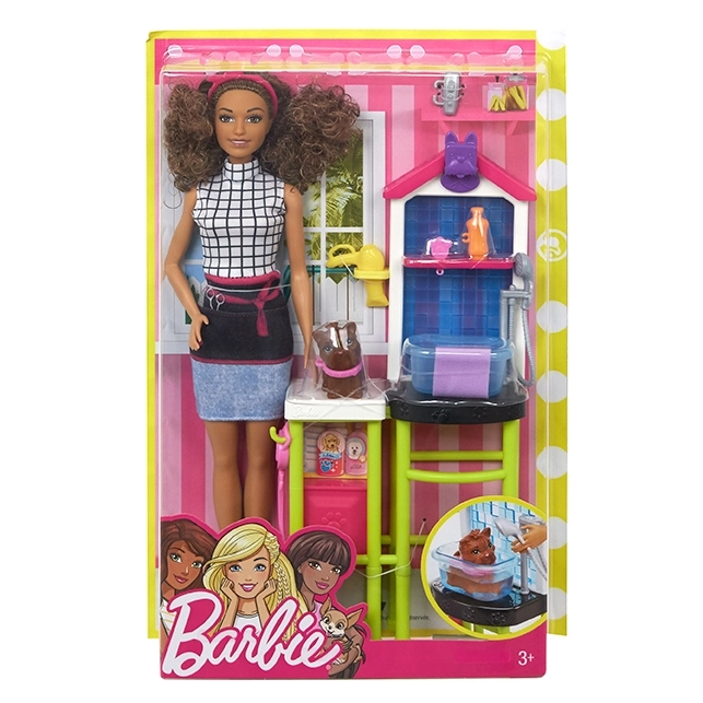 Set de joacă profesii Barbie cu păpușă