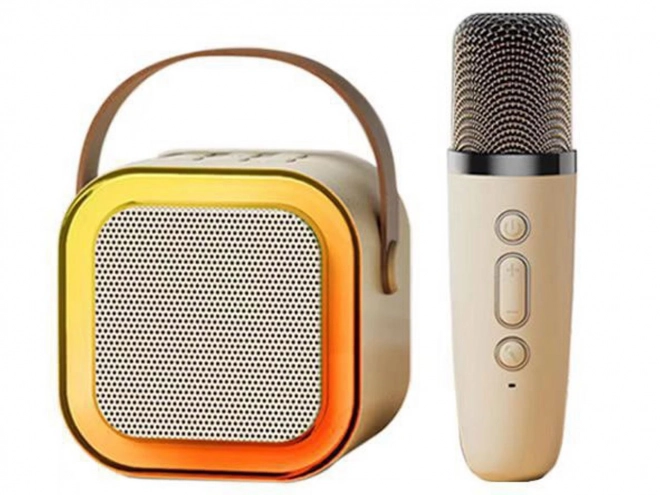 Set karaoke cu microfon și difuzor