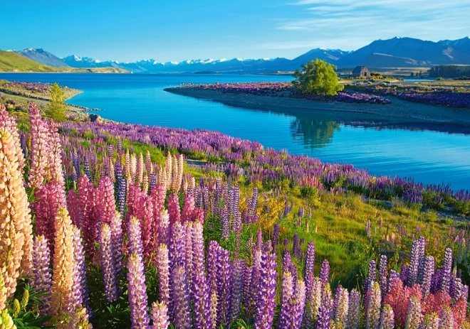 Puzzle peisaj Lacul Tekapo, Noua Zeelandă, 500 piese
