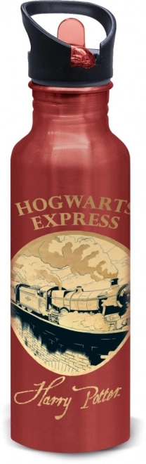 Sticlă de aluminiu Harry Potter - Golden Magic