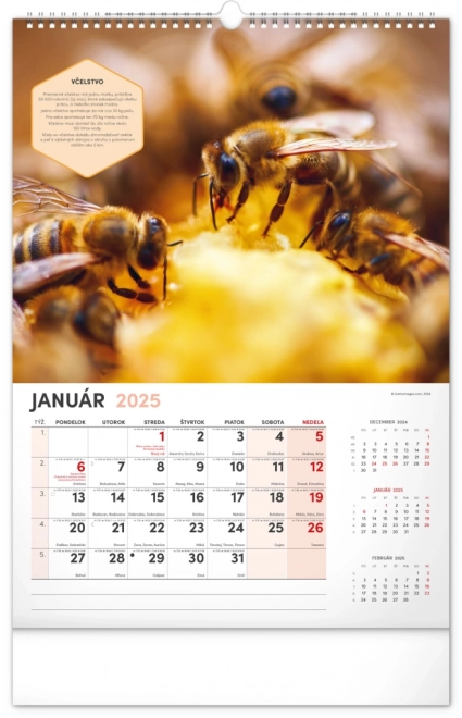 Calendar de perete apicol 2025