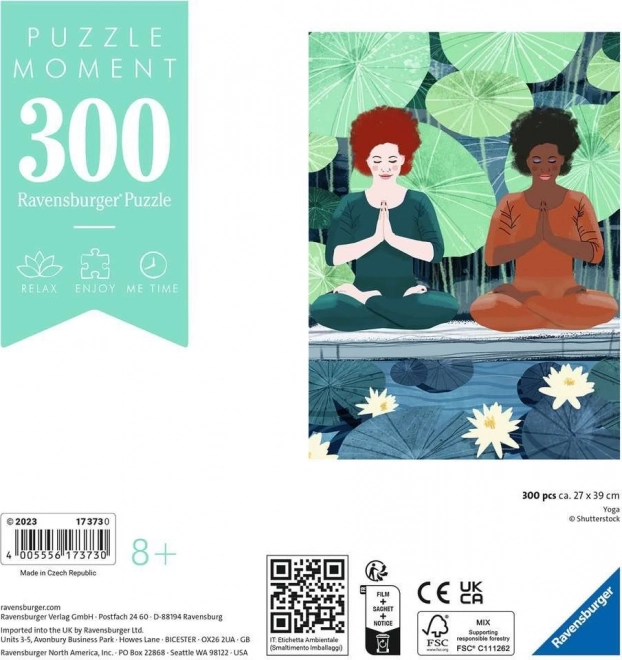 Puzzle Moment: Yoga 300 piese