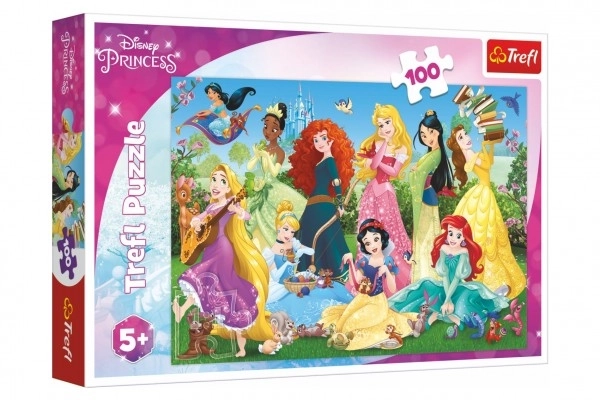 Puzzle 100 piese Prințese Fermecătoare