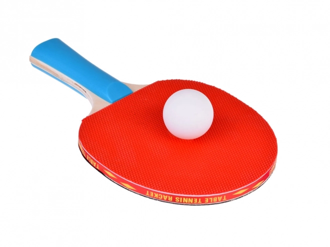 Set palete de ping-pong din lemn cu 3 mingi de tenis de masă