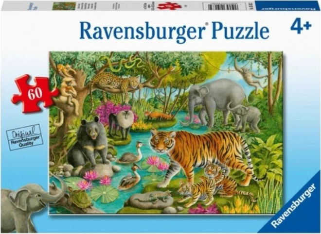 Puzzle Ravensburger Animale din India 60 Piese