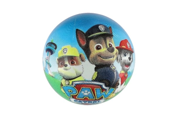 Minge Paw Patrol umflată 23cm în plasă